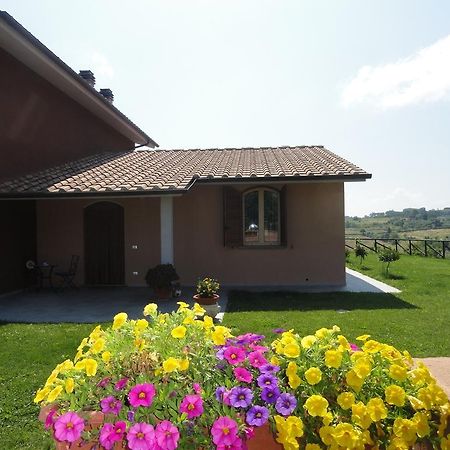 Poggio Novello Διαμέρισμα Peccioli Εξωτερικό φωτογραφία