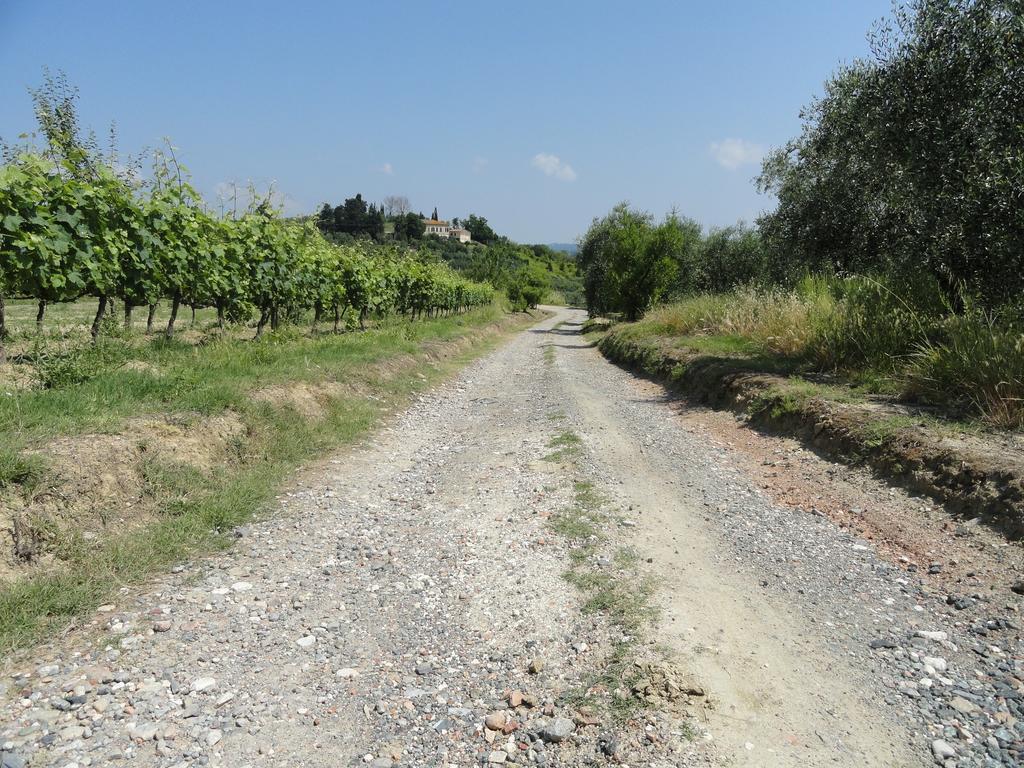 Poggio Novello Διαμέρισμα Peccioli Εξωτερικό φωτογραφία