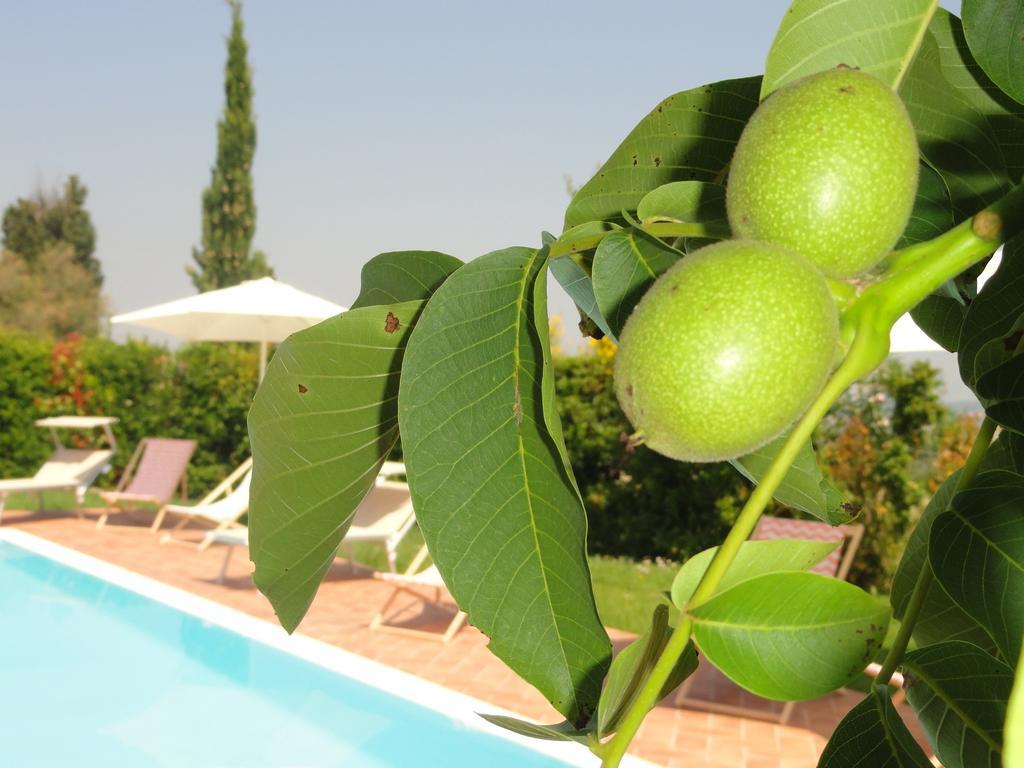 Poggio Novello Διαμέρισμα Peccioli Εξωτερικό φωτογραφία